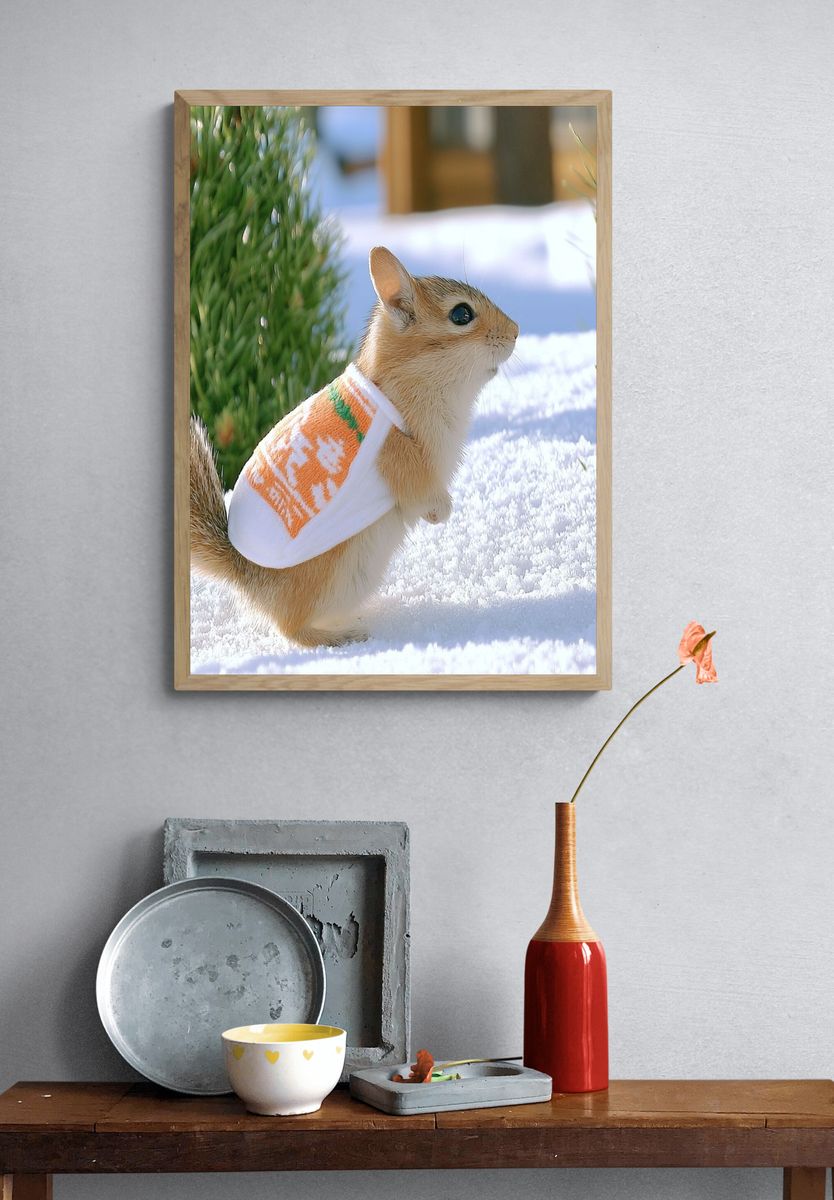 Winter Squirrel Portrait Poster. — room view 3