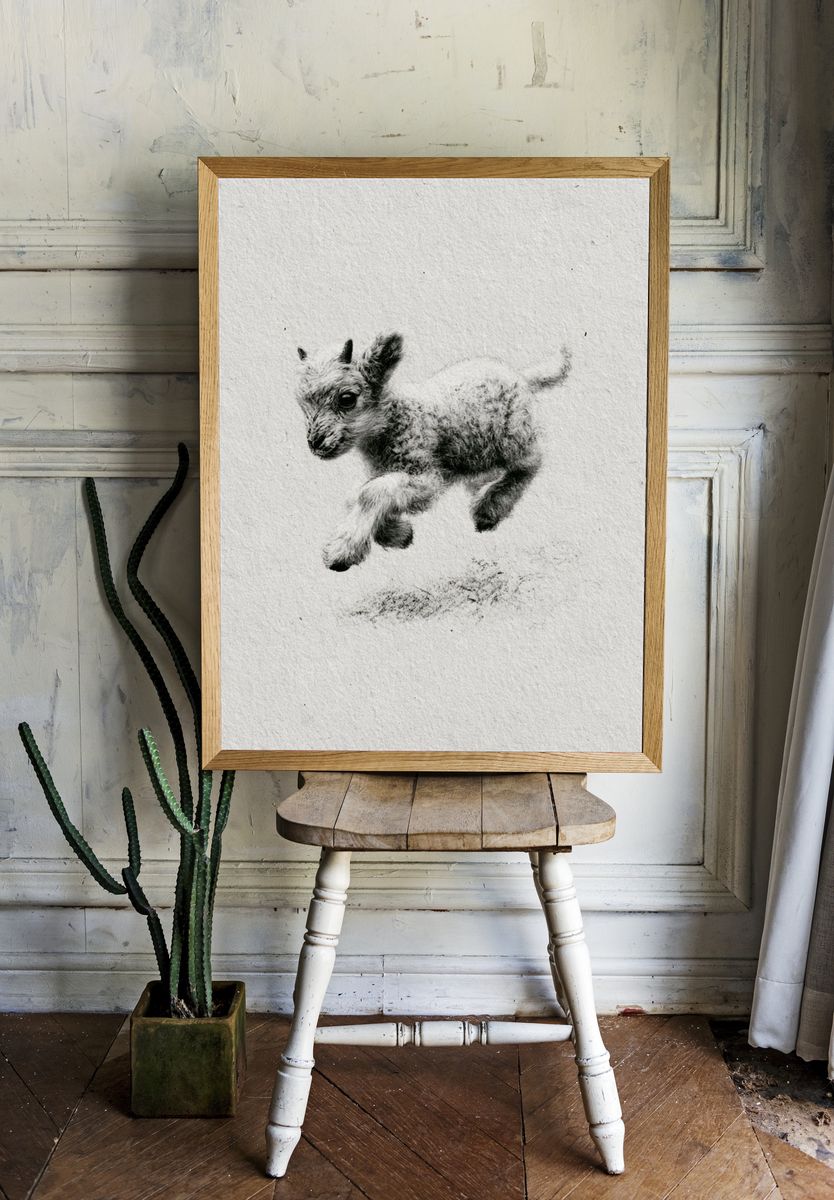 Baby Goat Sketch Poster. — room view 1