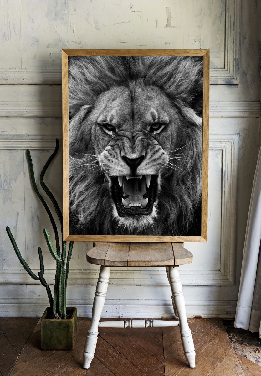Roaring Lion Black-White Poster. room preview
