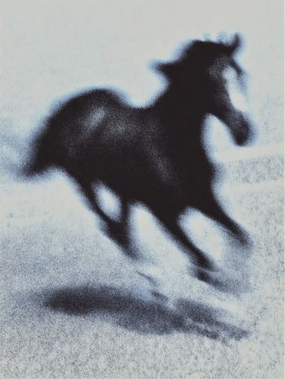 Galloping Horse Silhouette Print. poster print