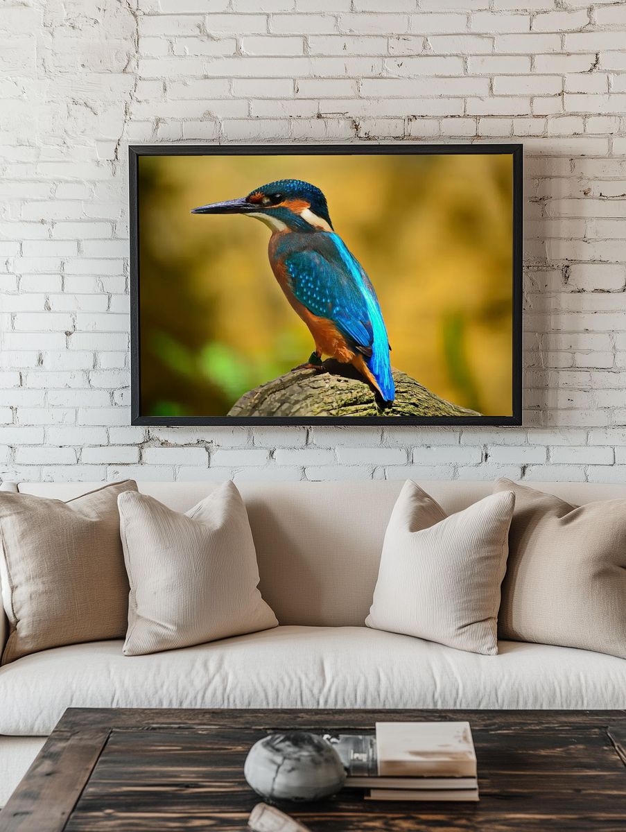 Kingfisher on Branch Wildlife Print. — room view 1
