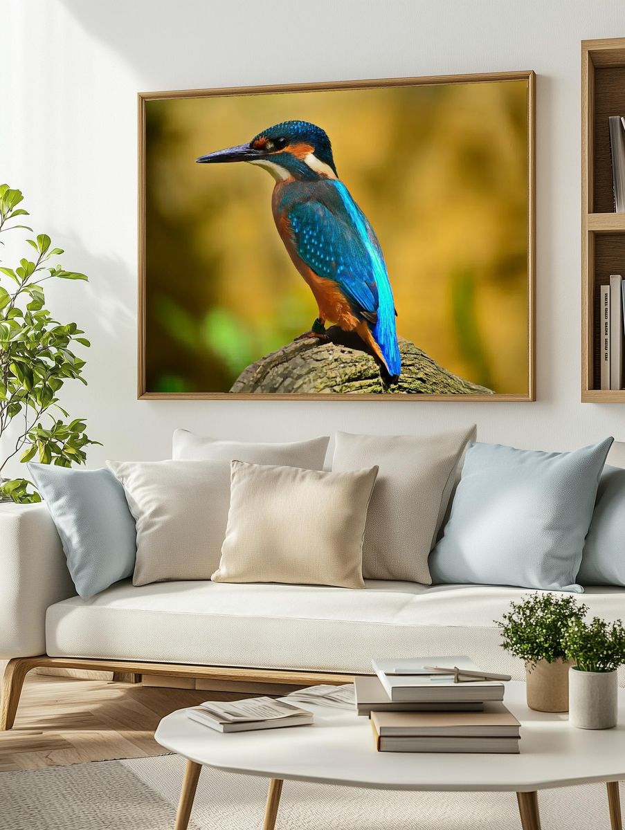 Kingfisher on Branch Wildlife Print. — room view 2