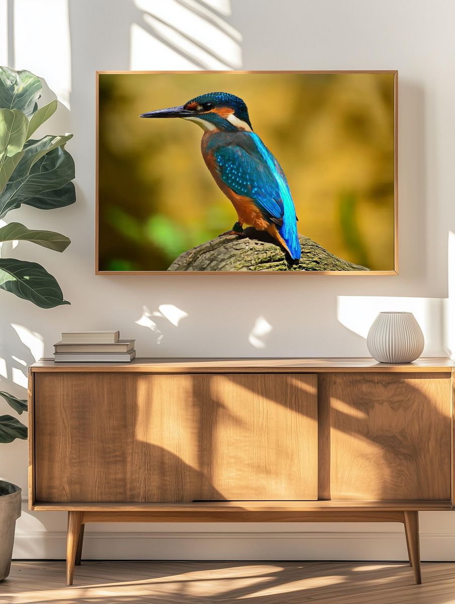 Kingfisher on Branch Wildlife Print. — room view 3