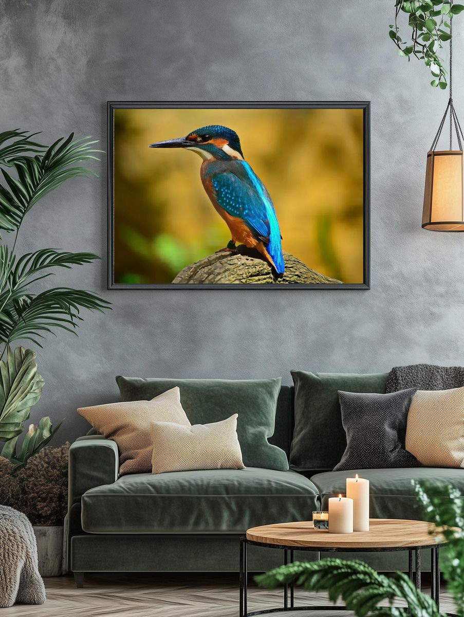 Kingfisher on Branch Wildlife Print. — room view 4