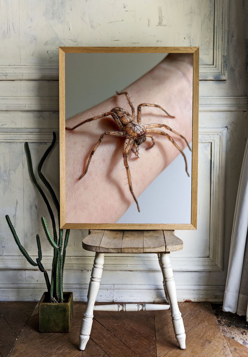 Spider on Hand Photography Poster. room preview