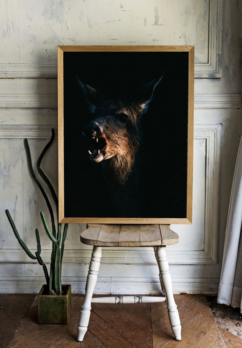 Howling Deer Photography Poster. room preview