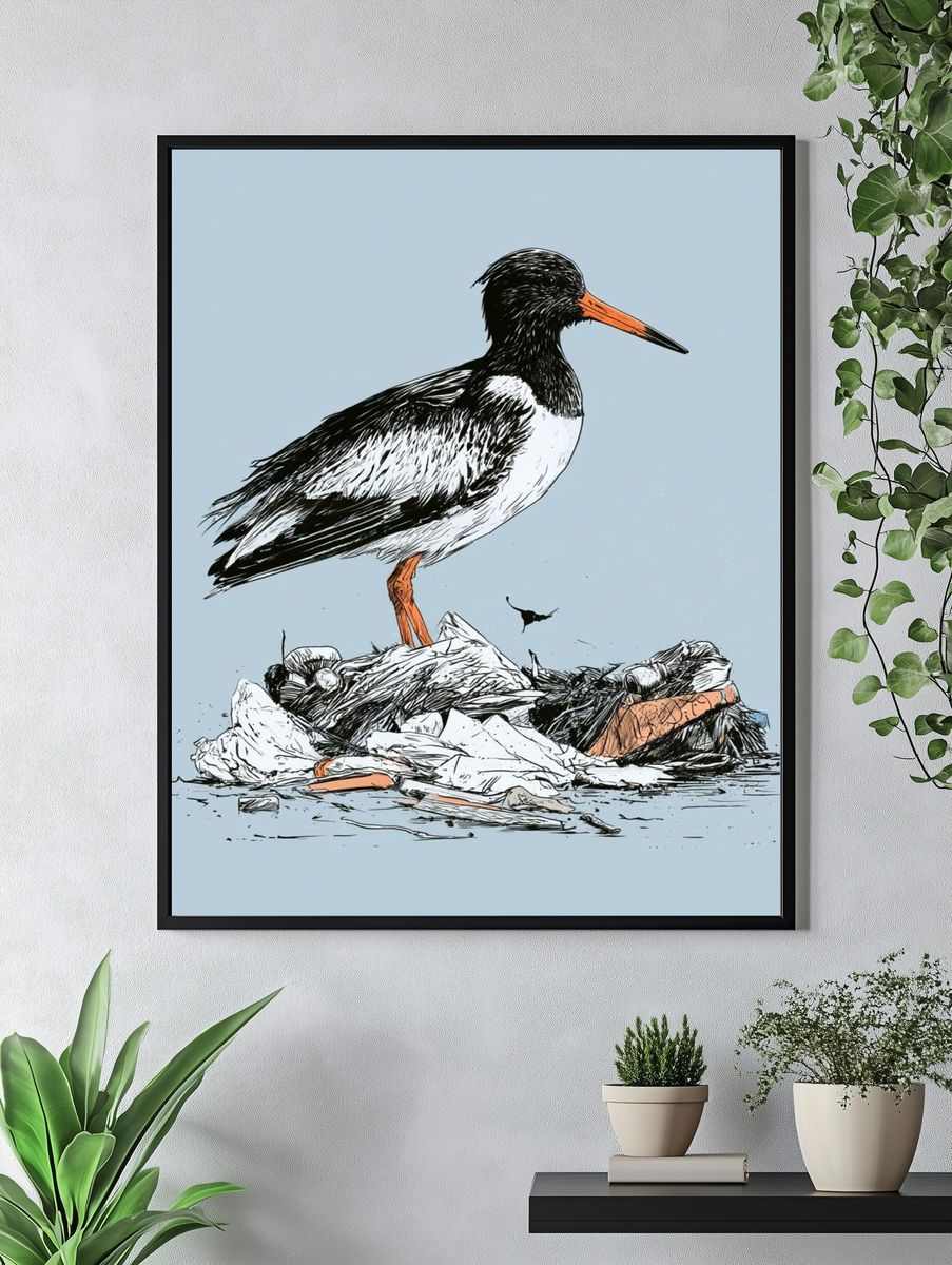 Oystercatcher Illustration Poster. — room view 4