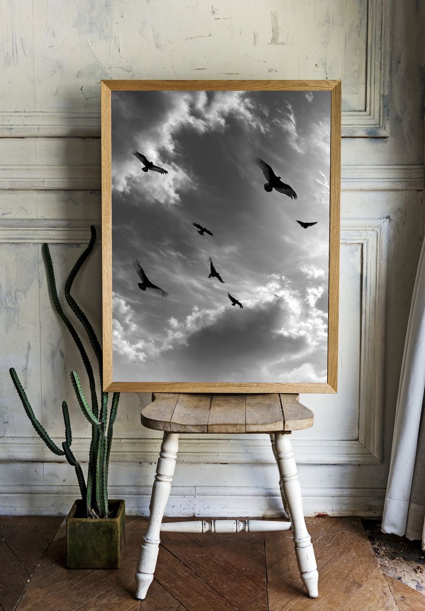 Birds in Stormy Sky Black-White Print. room preview