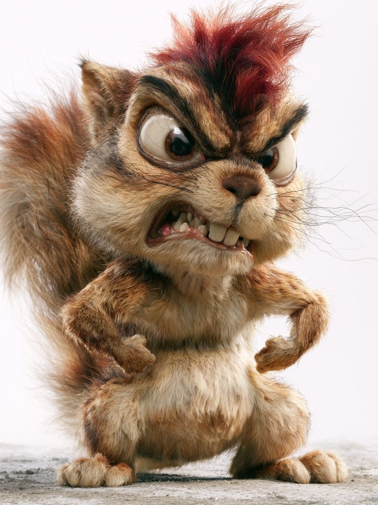Angry Squirrel Cartoon Poster. poster — animals art