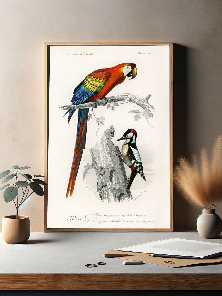 Different types birds illustrated Charles. — room view 2