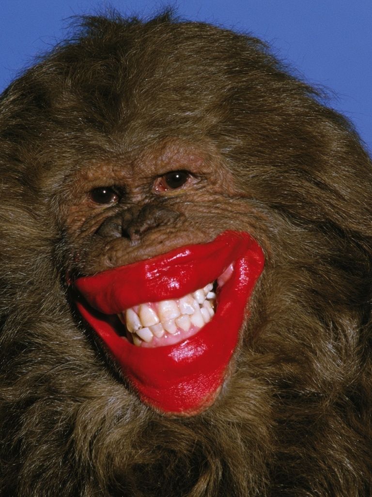Smiling Bigfoot Portrait Print. poster — animals art