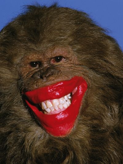 Smiling Bigfoot Portrait Print.