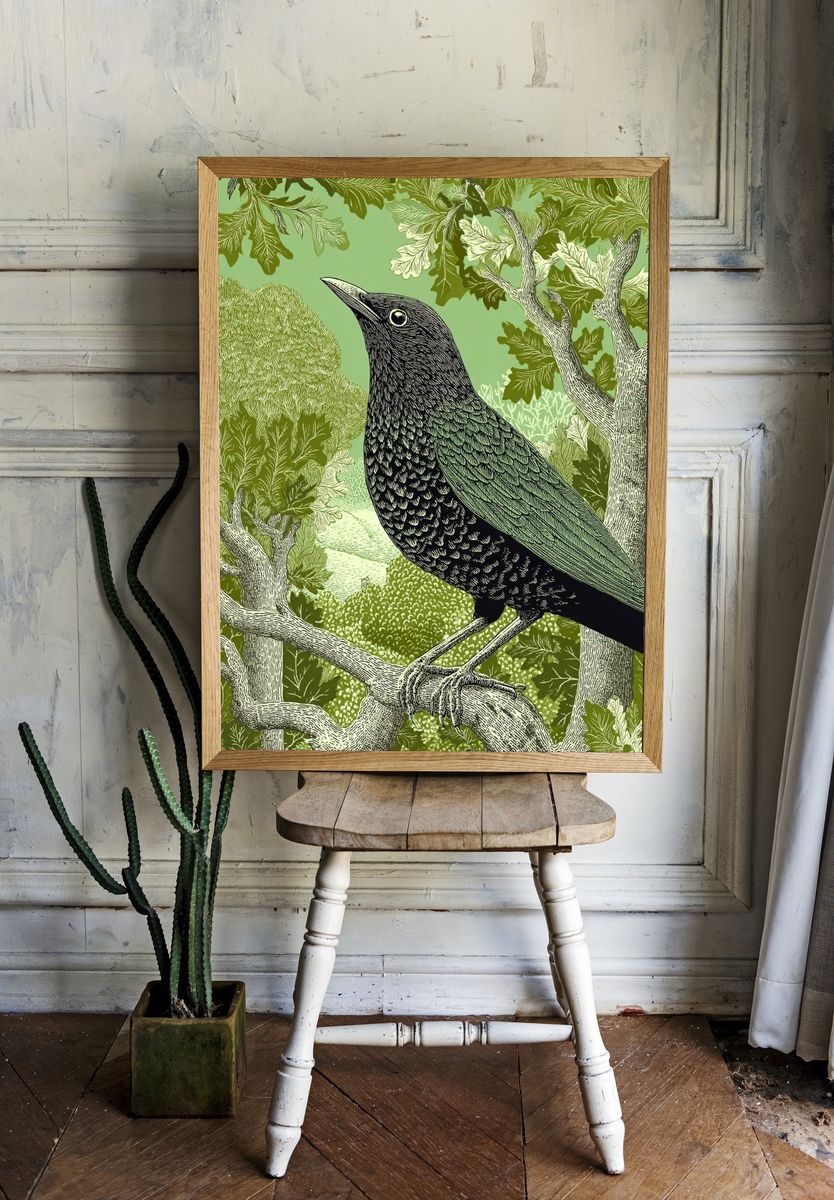 Blackbird in Woodland Poster. room preview