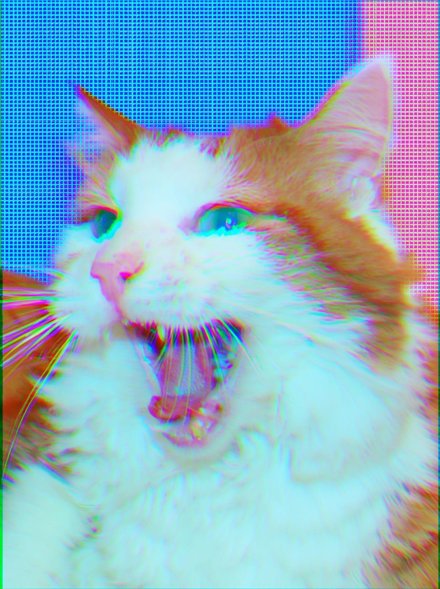 Yawning Cat Glitch Portrait Poster. poster — animals art