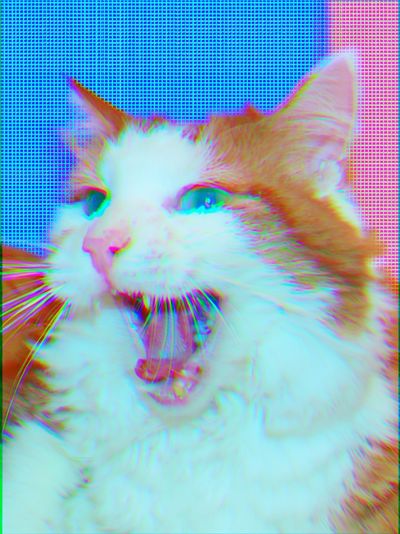 Yawning Cat Glitch Portrait Poster. poster