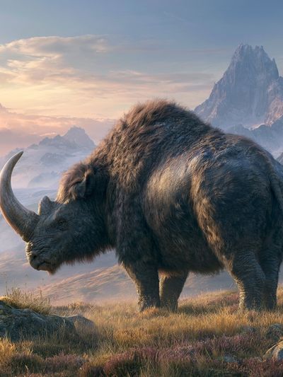 Mountain Rhino Wildlife Poster. poster