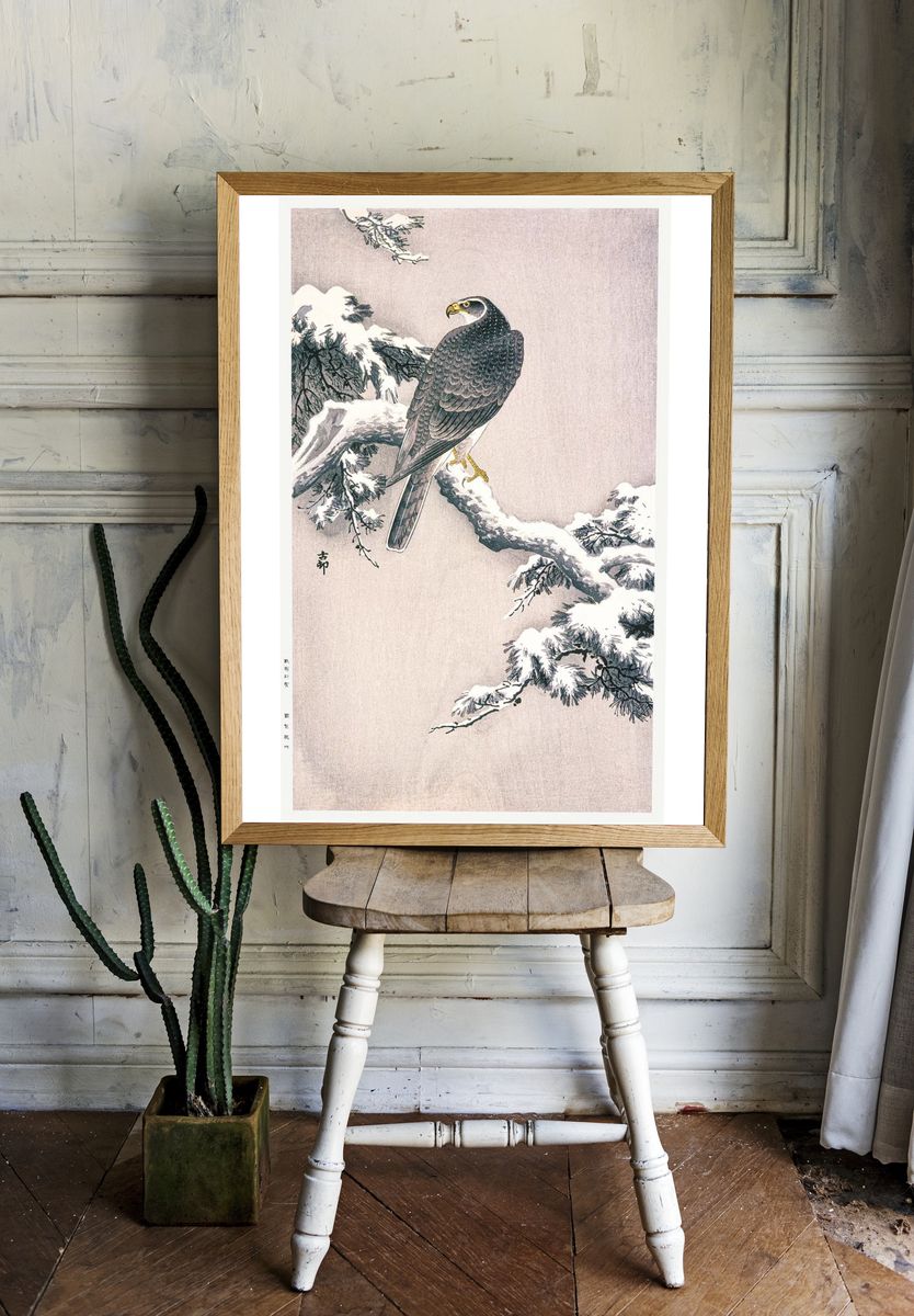 Goshawk Snow-covered Pine Bough Ohara. — room view 1
