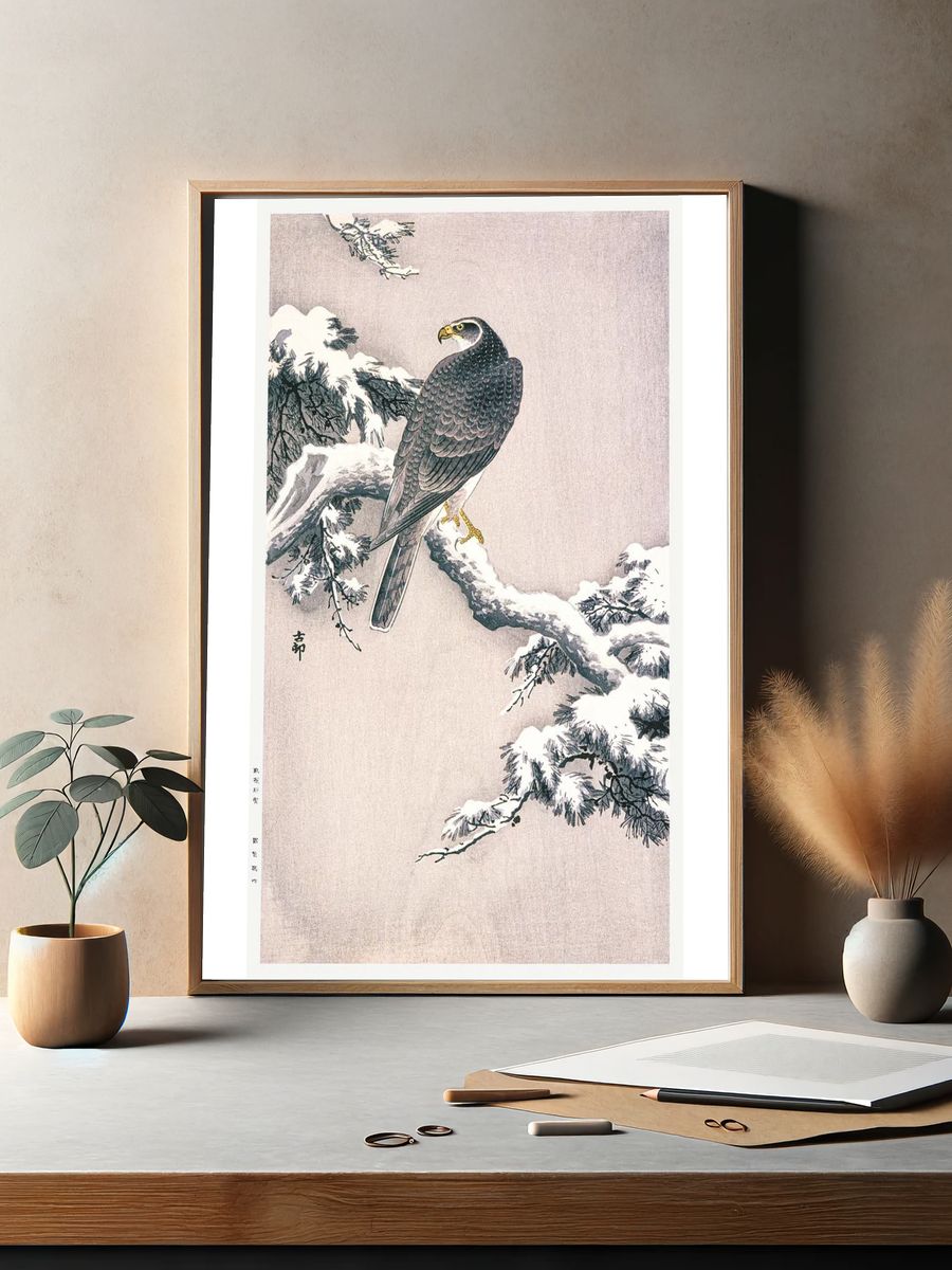 Goshawk Snow-covered Pine Bough Ohara. — room view 2