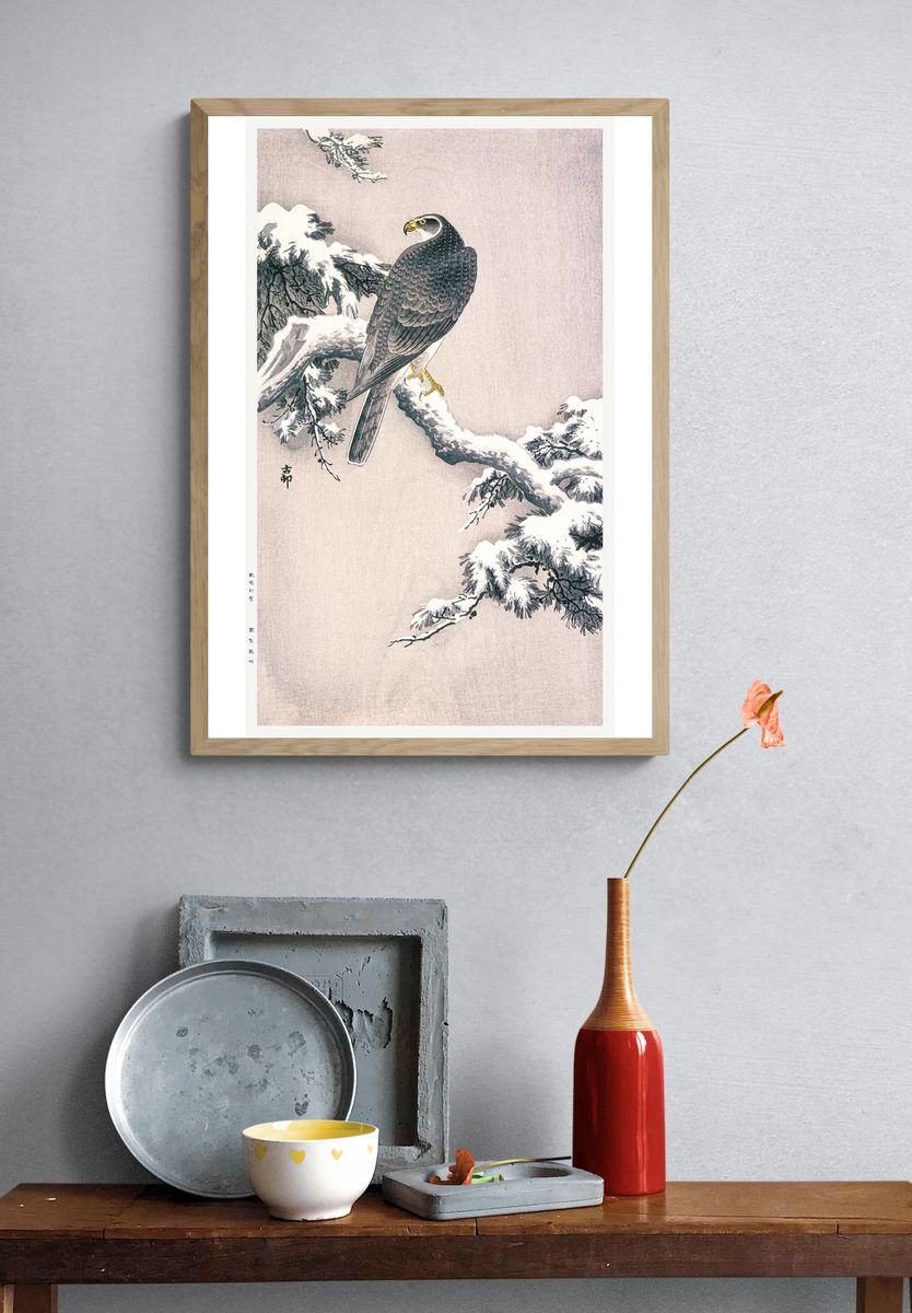 Goshawk Snow-covered Pine Bough Ohara. — room view 3