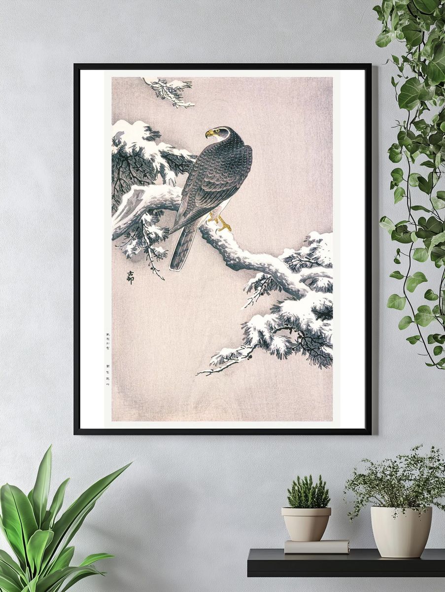 Goshawk Snow-covered Pine Bough Ohara. — room view 4