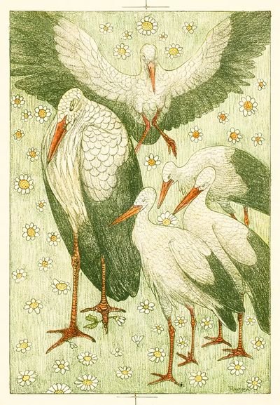 Vijf ooievaars in een wei (ca. 1878–1917). poster print