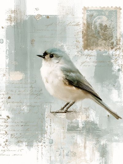 Bluebird Watercolor Poster.
