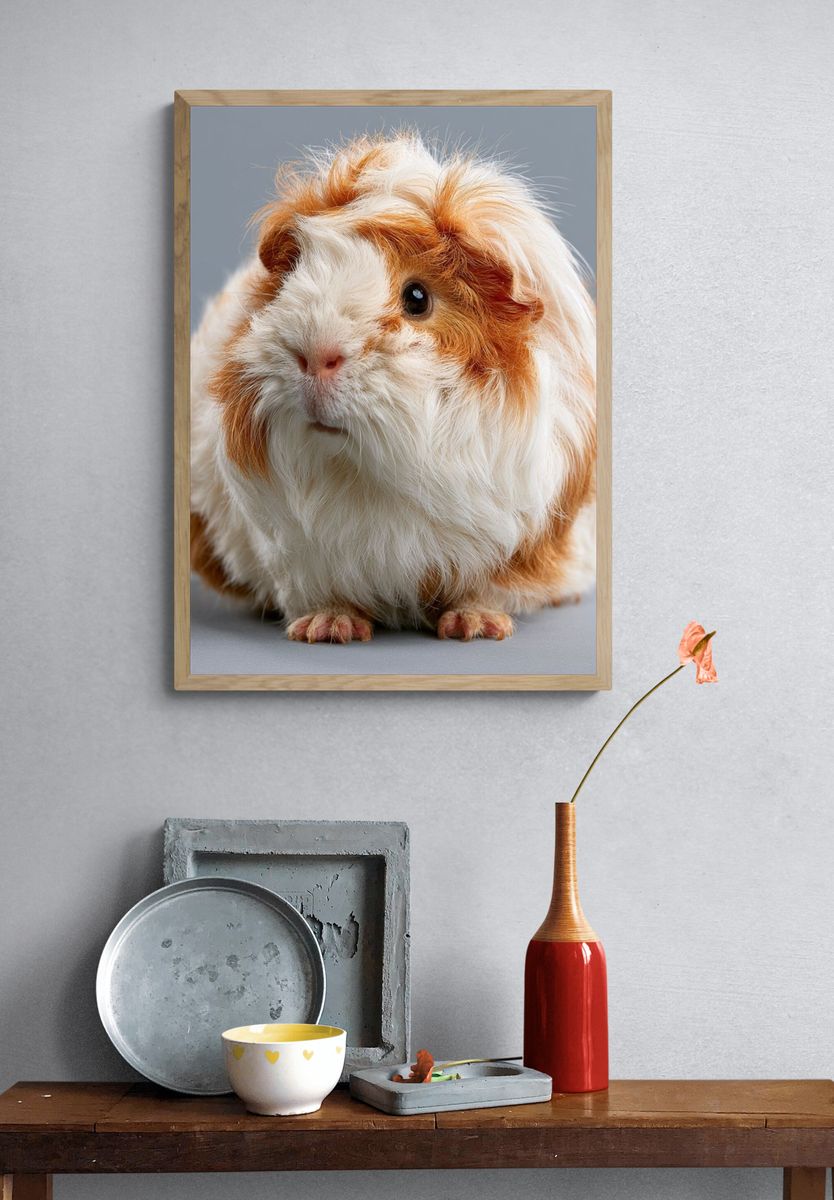 Fluffy Guinea Pig Portrait Poster. — room view 3