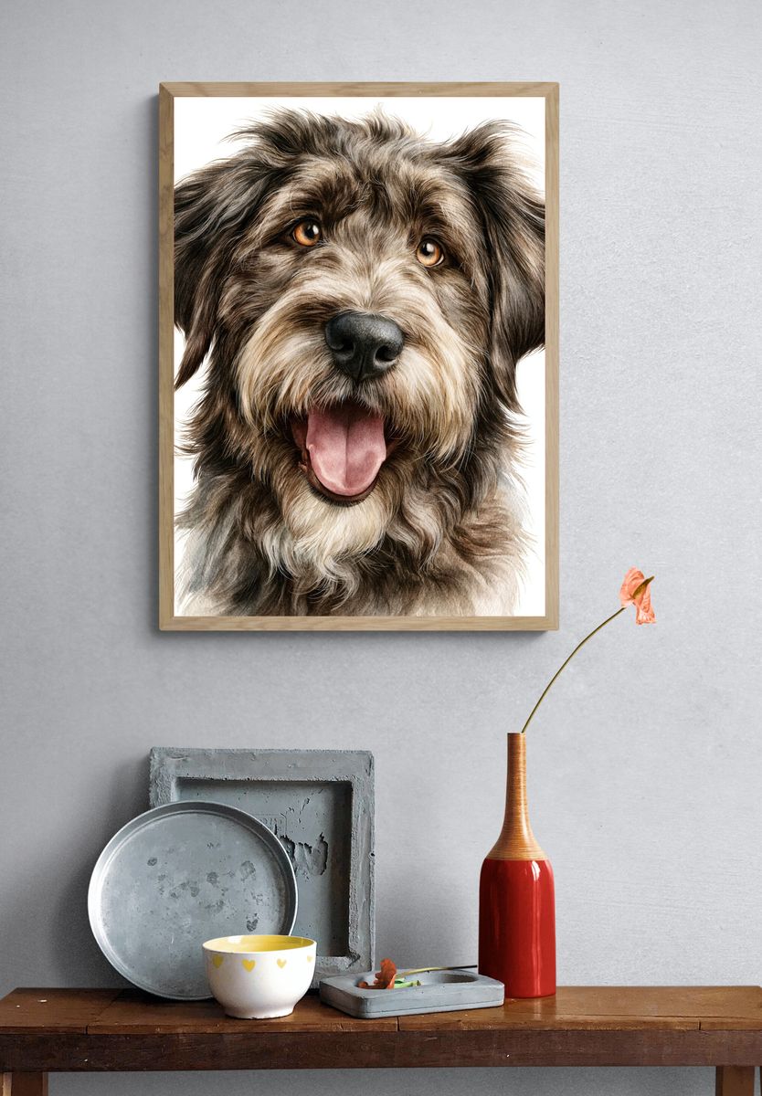 Happy Schnauzer Portrait Print. — room view 3