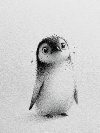 Shy Penguin Sketch Poster.