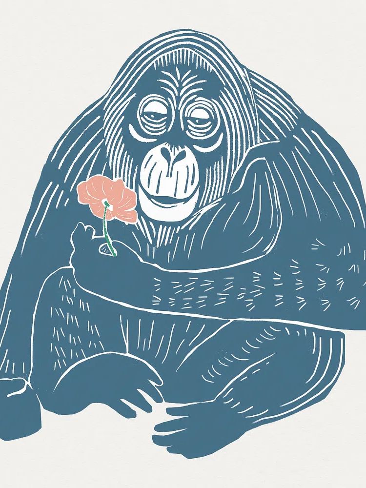 Orangutan with Flower Illustration Poster. poster detail