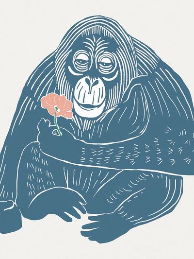 Orangutan with Flower Illustration Poster. poster