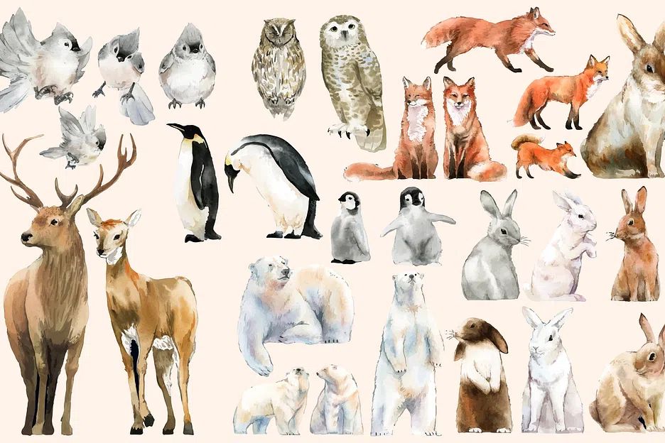 Hand-drawn wildlife set watercolor style. poster — animals art