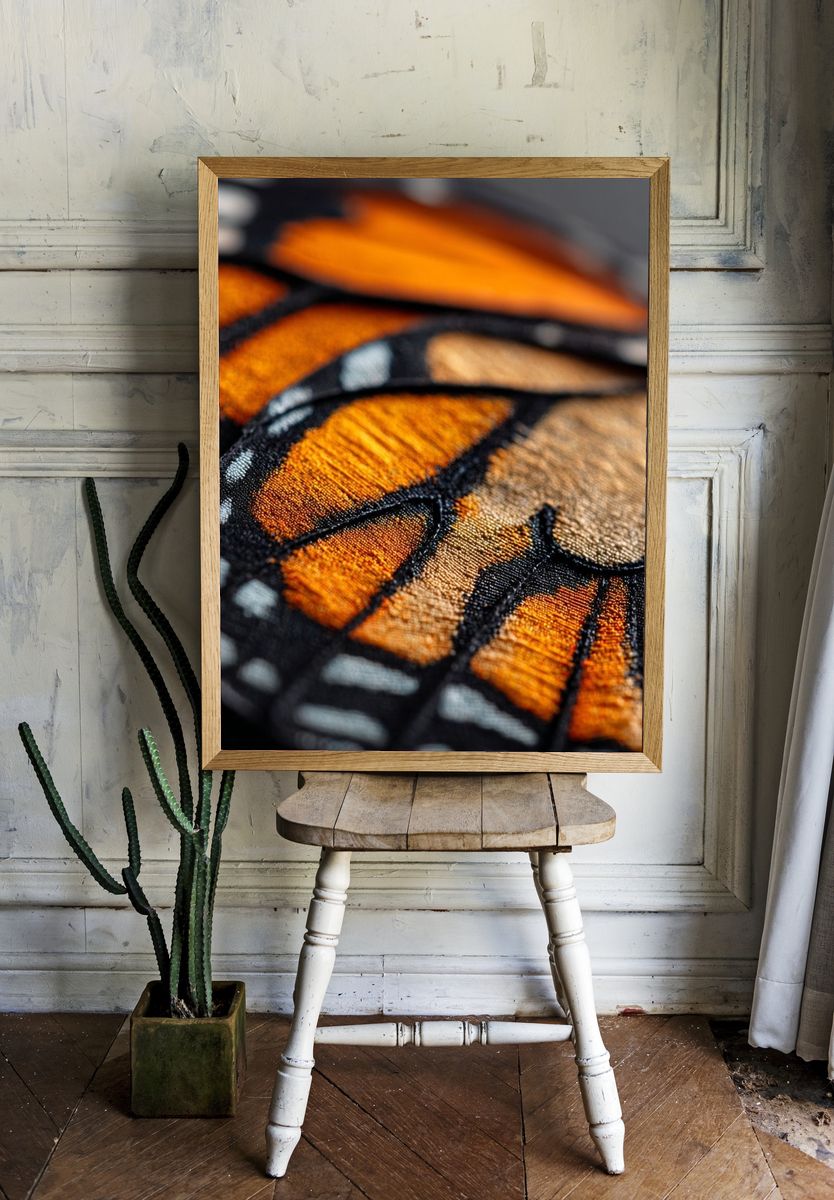 Monarch Butterfly Wing Macro Print. — room view 1