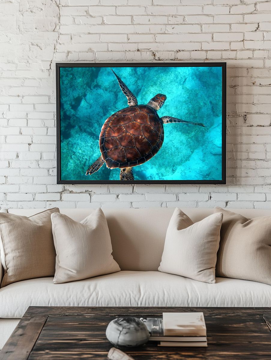 Big sea turtle swimming ocean. — room view 1
