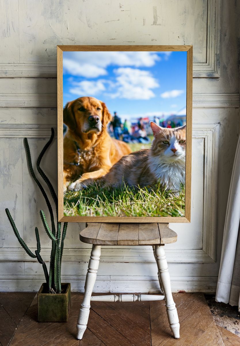 Dog and Cat Meadow Portrait Poster. room preview