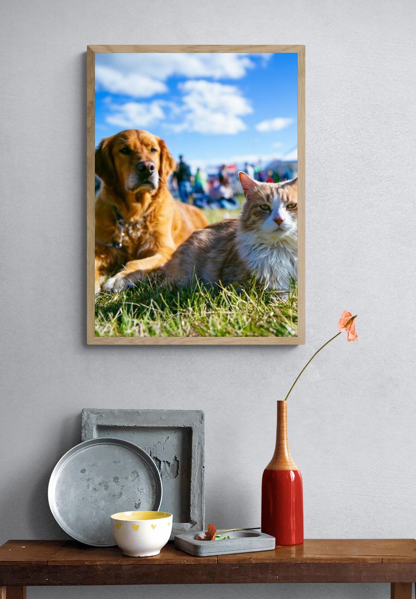 Dog and Cat Meadow Portrait Poster. — room view 3