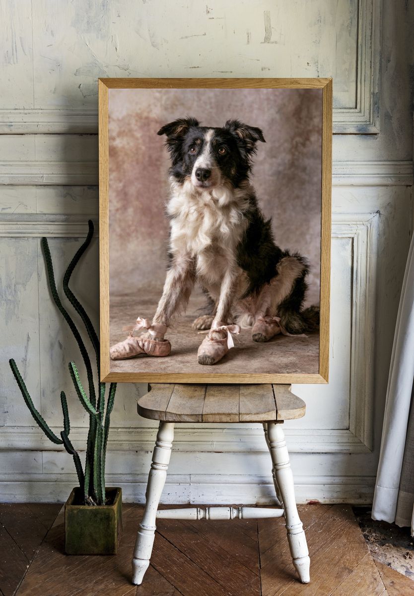 Ballet Dog Portrait Poster. room preview