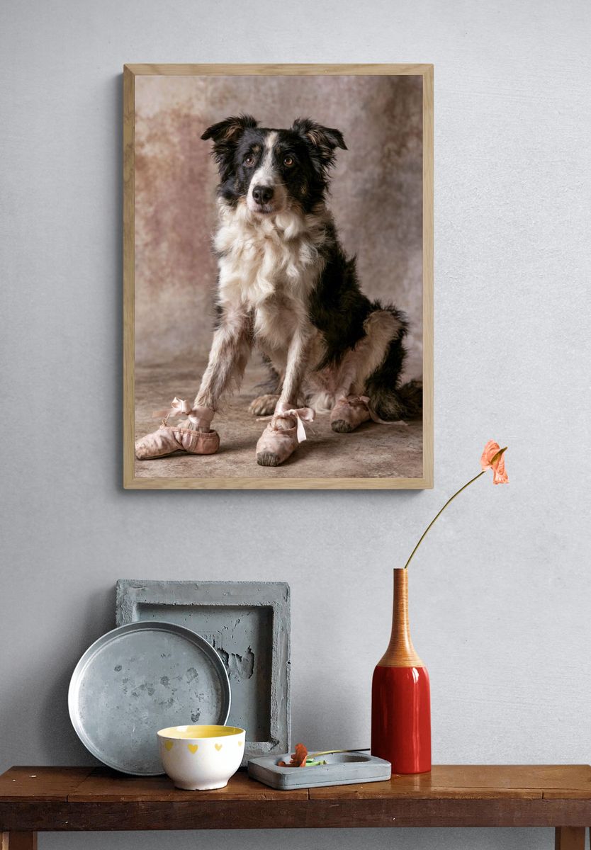 Ballet Dog Portrait Poster. — room view 3