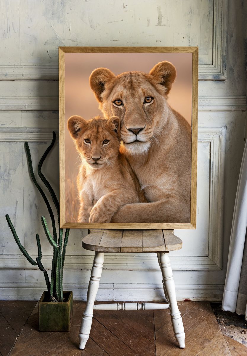 Lioness and Cub Wildlife Photography Poster. room preview