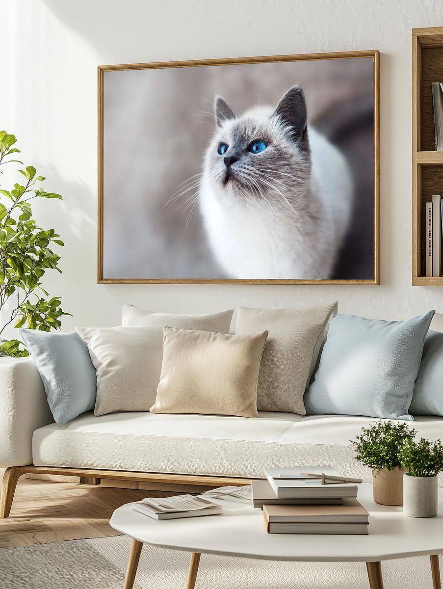 Close-up blue-eyed cat looking up. — room view 2