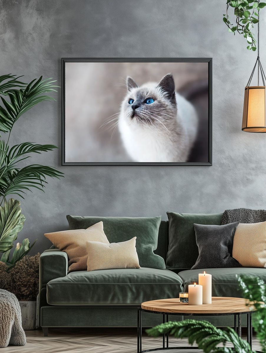 Close-up blue-eyed cat looking up. — room view 4