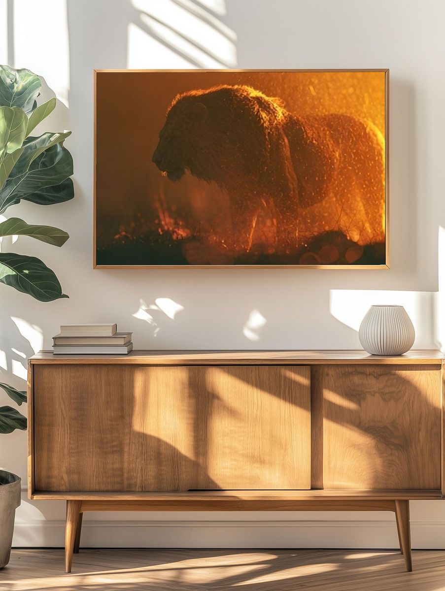 Lion in Golden Rain Poster. — room view 3