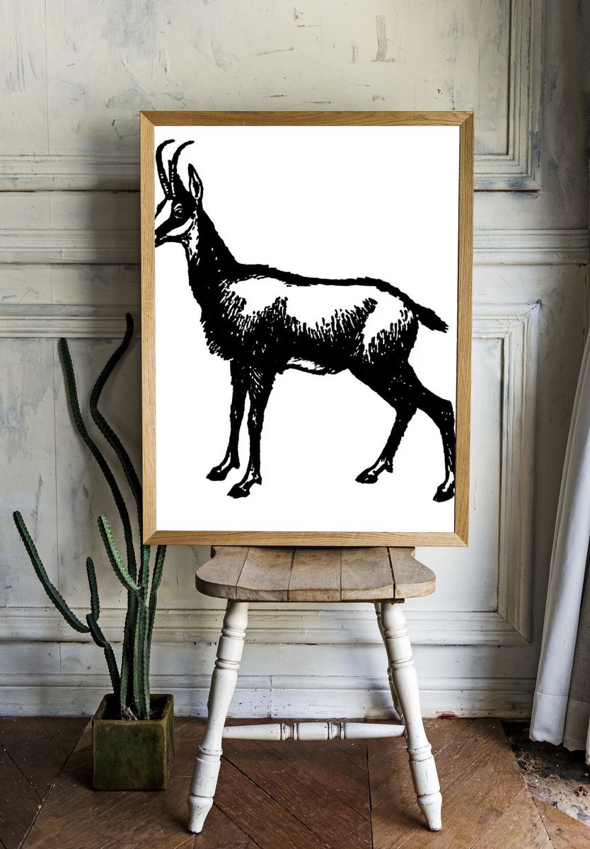 Antelope Ink Illustration Print. room preview