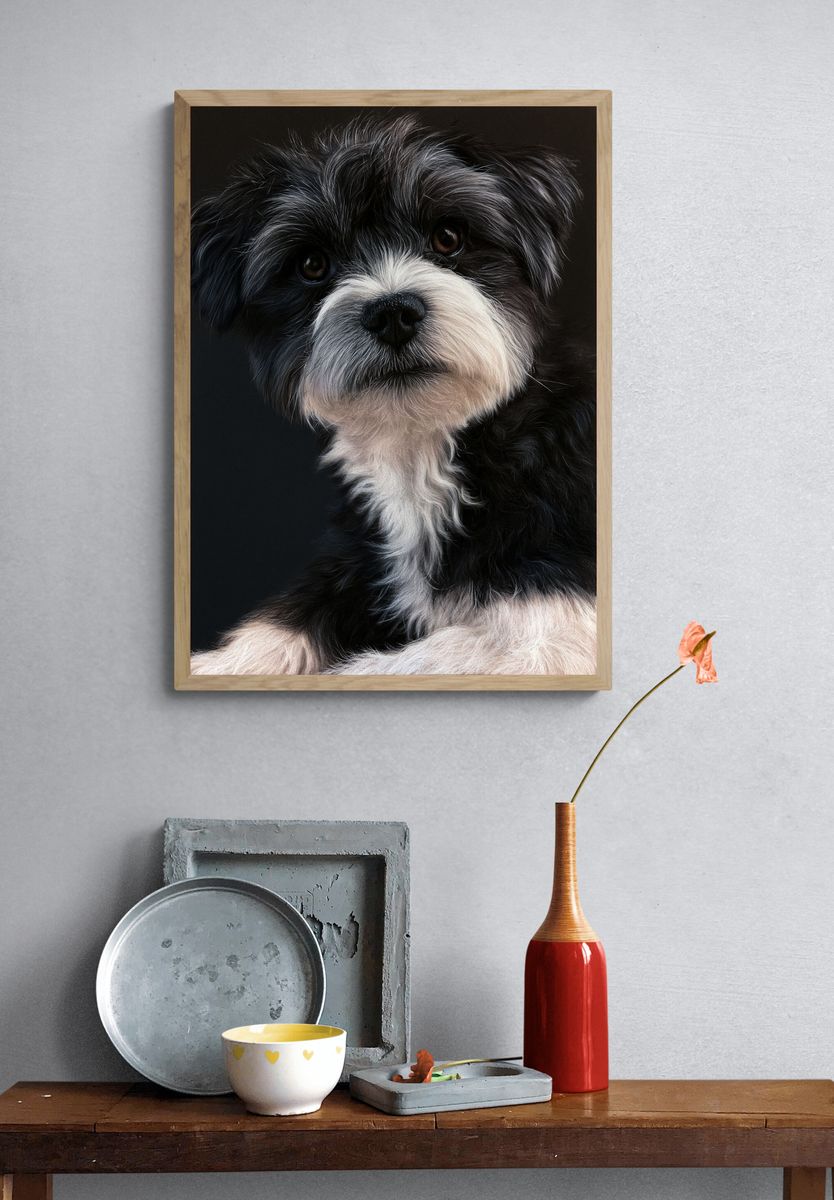 Shih Tzu Portrait Poster. — room view 3