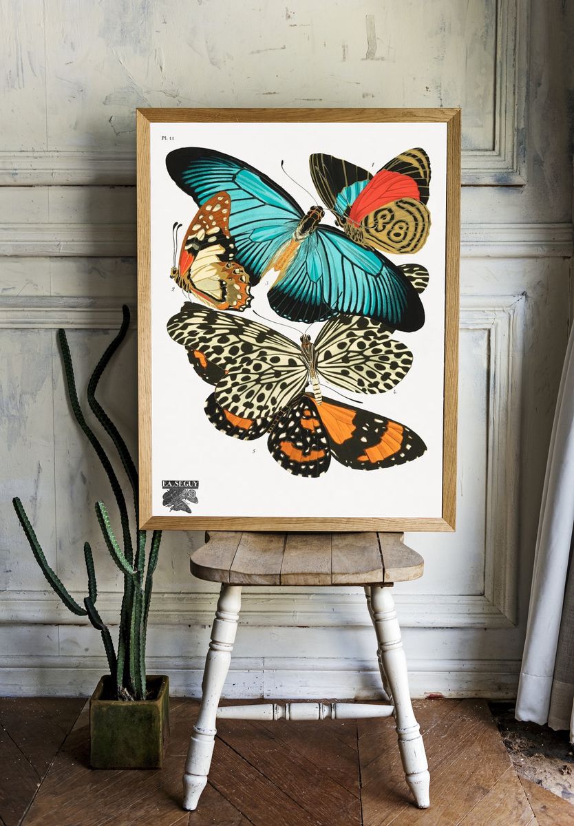 E.A. Séguy 's vintage butterflies. — room view 1