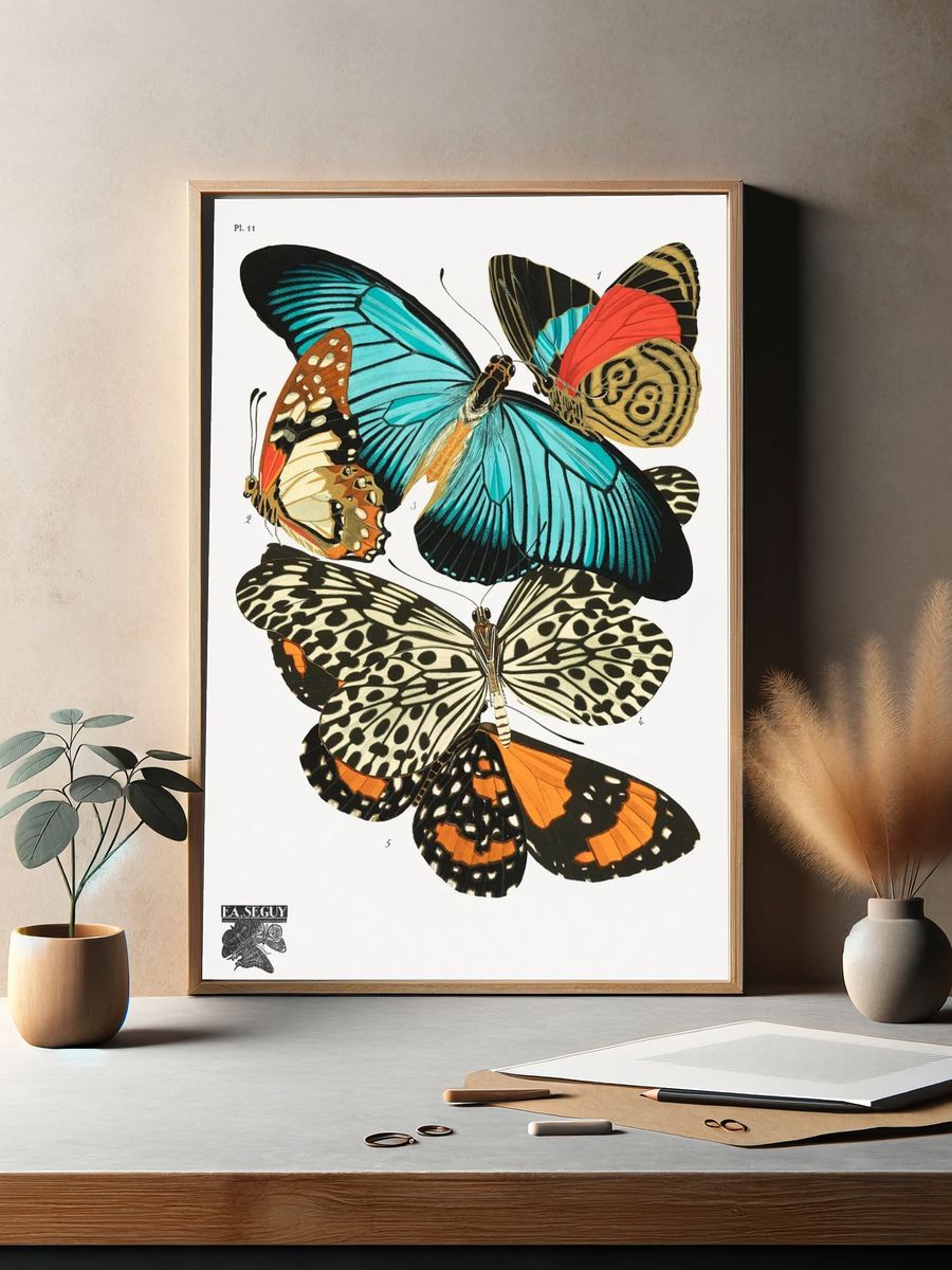 E.A. Séguy 's vintage butterflies. — room view 2