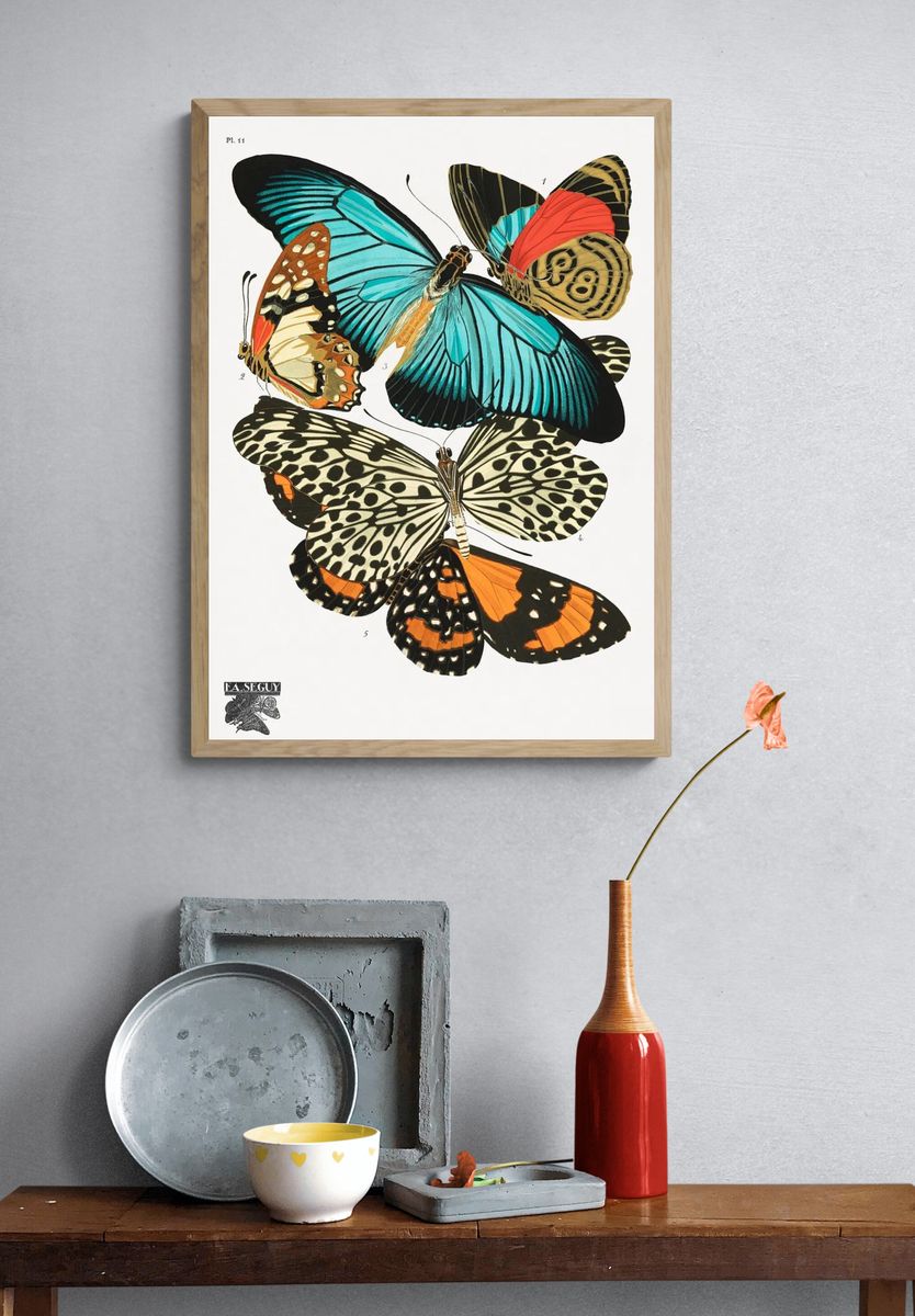 E.A. Séguy 's vintage butterflies. — room view 3