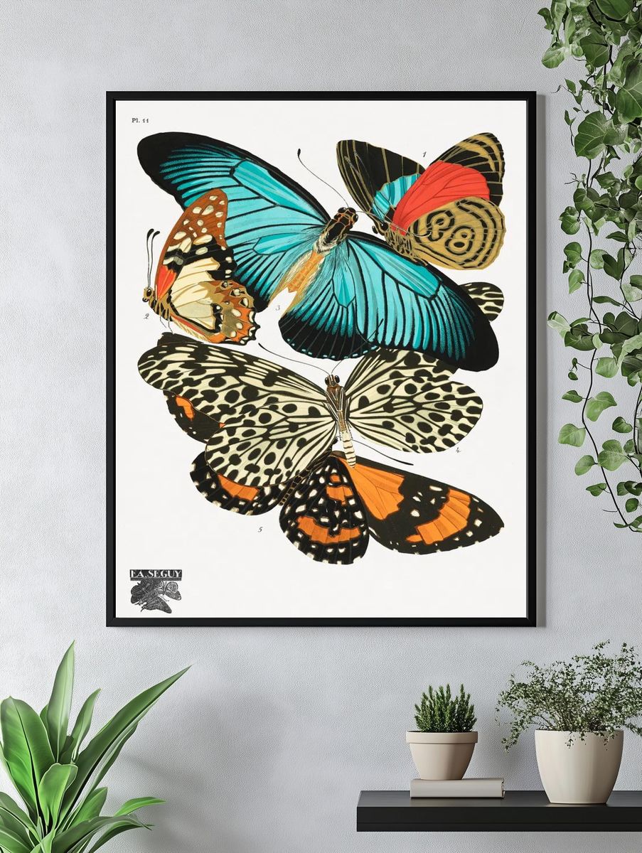 E.A. Séguy 's vintage butterflies. — room view 4