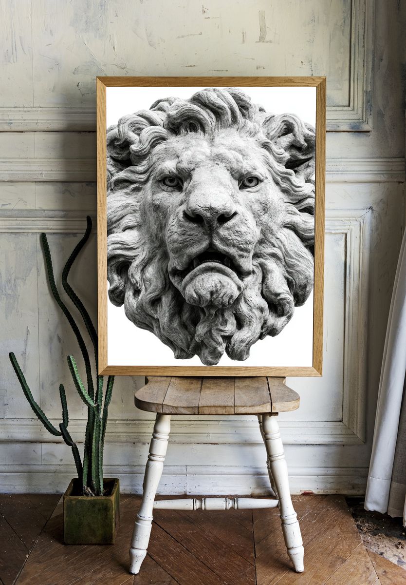 Stone Lion Head Photography Poster. — room view 1