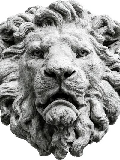 Stone Lion Head Photography Poster.